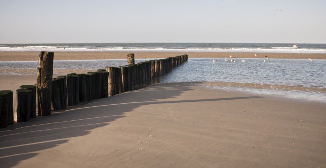 Wangerooge